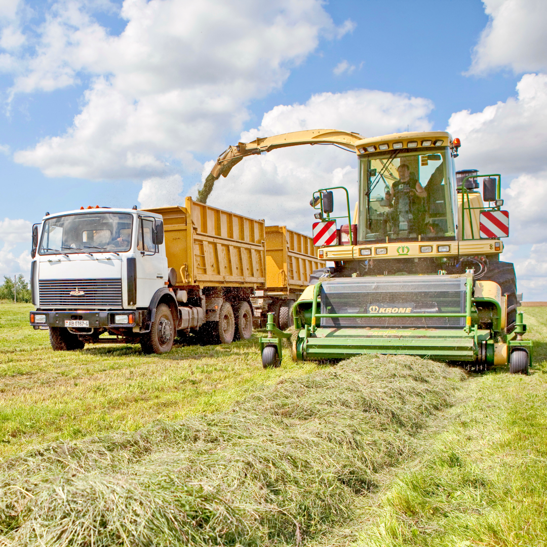 Фотосъемка мероприятий