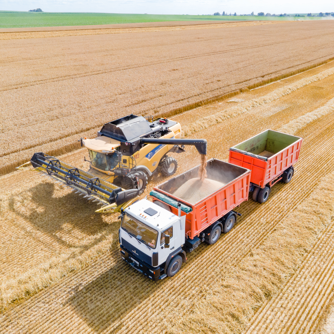 Аэрофотосъемка 2