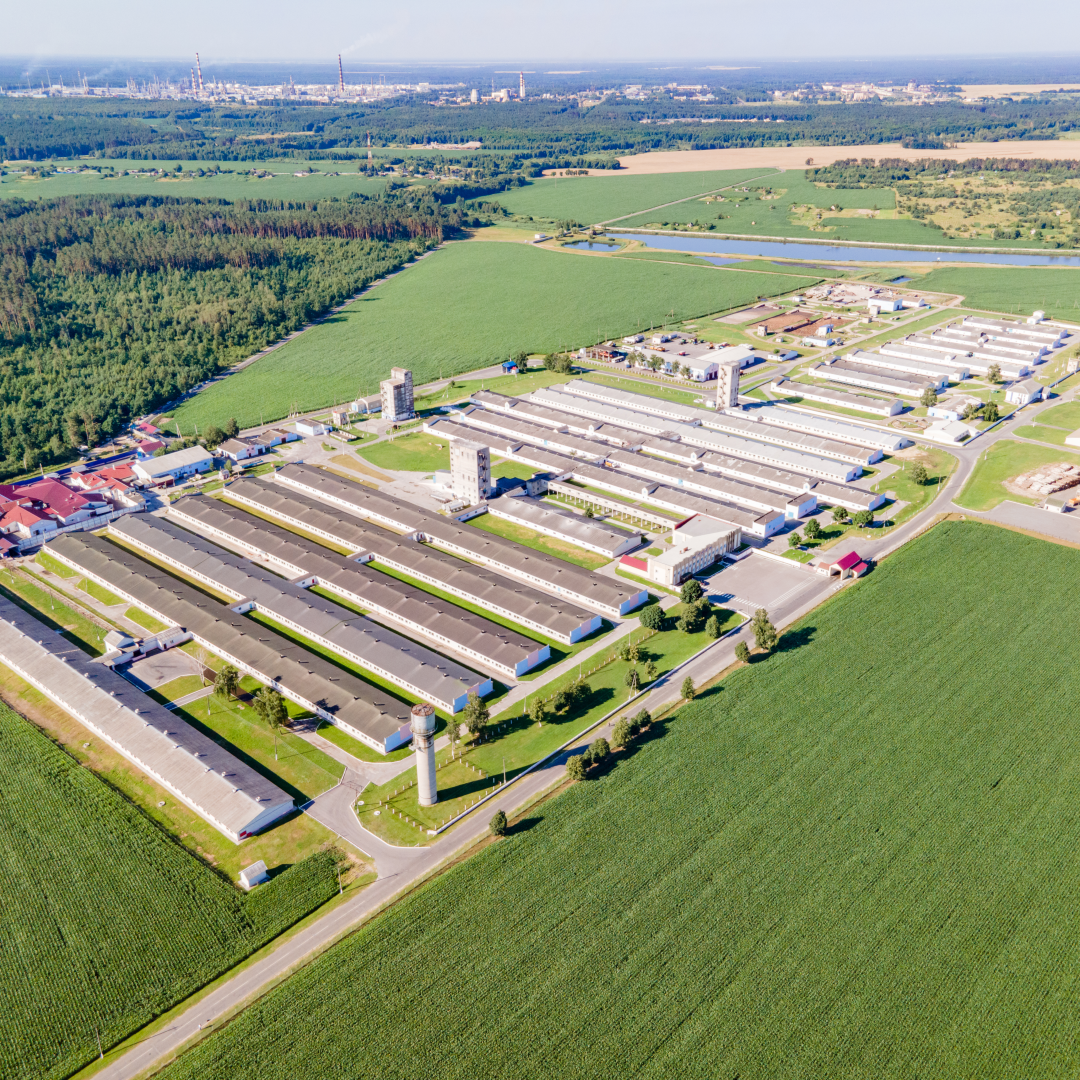 Аэрофотосъемка 4