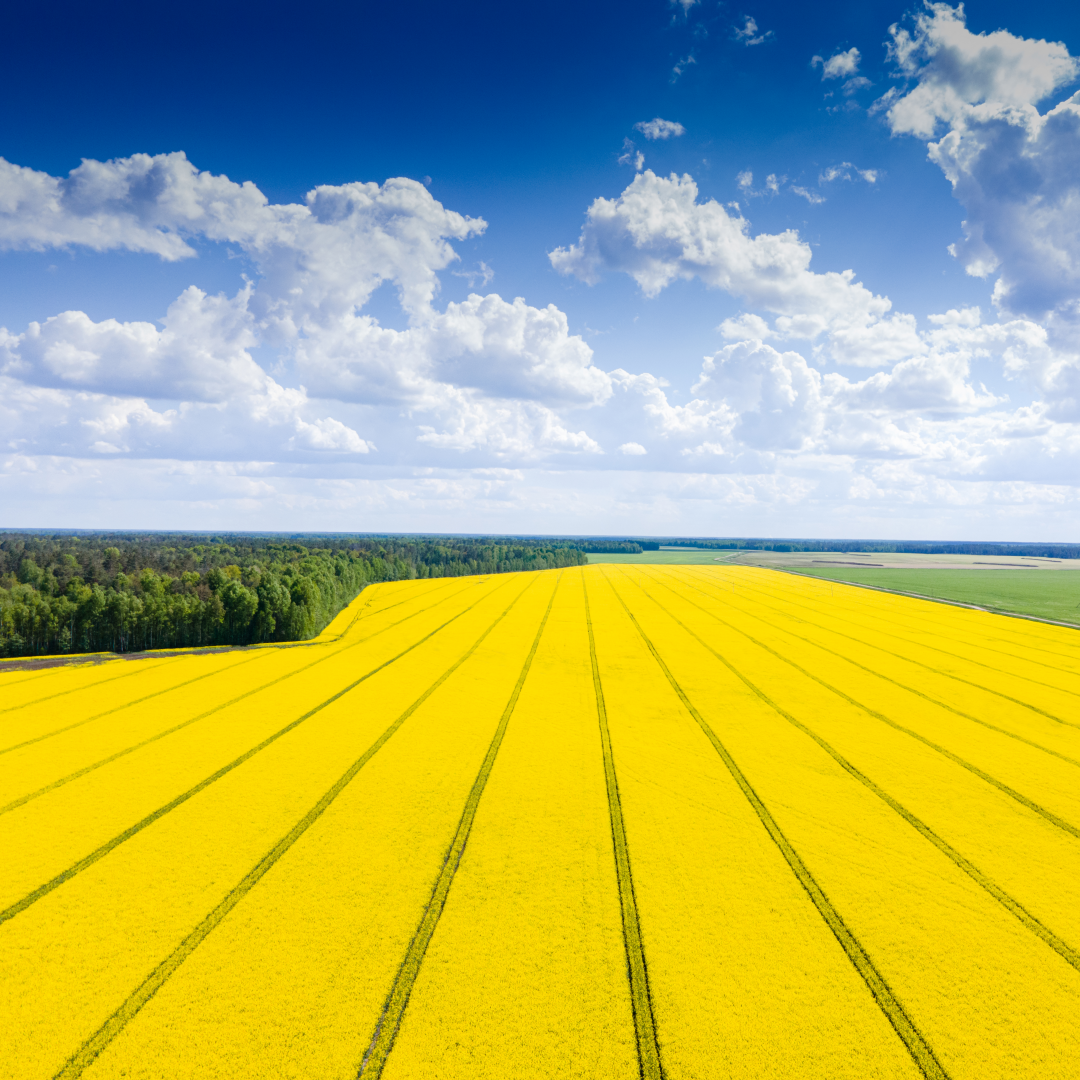 Аэрофотосъемка 3