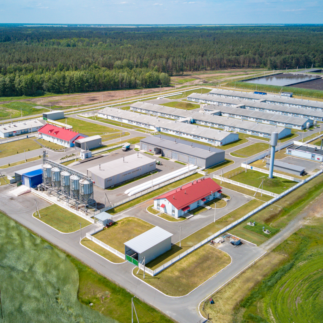 Аэрофотосъемка 6